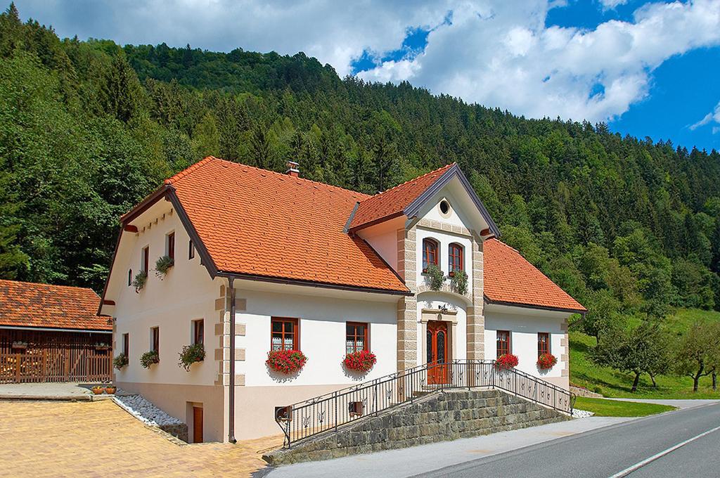 Farm Stay Bukovje Ljubno Esterno foto