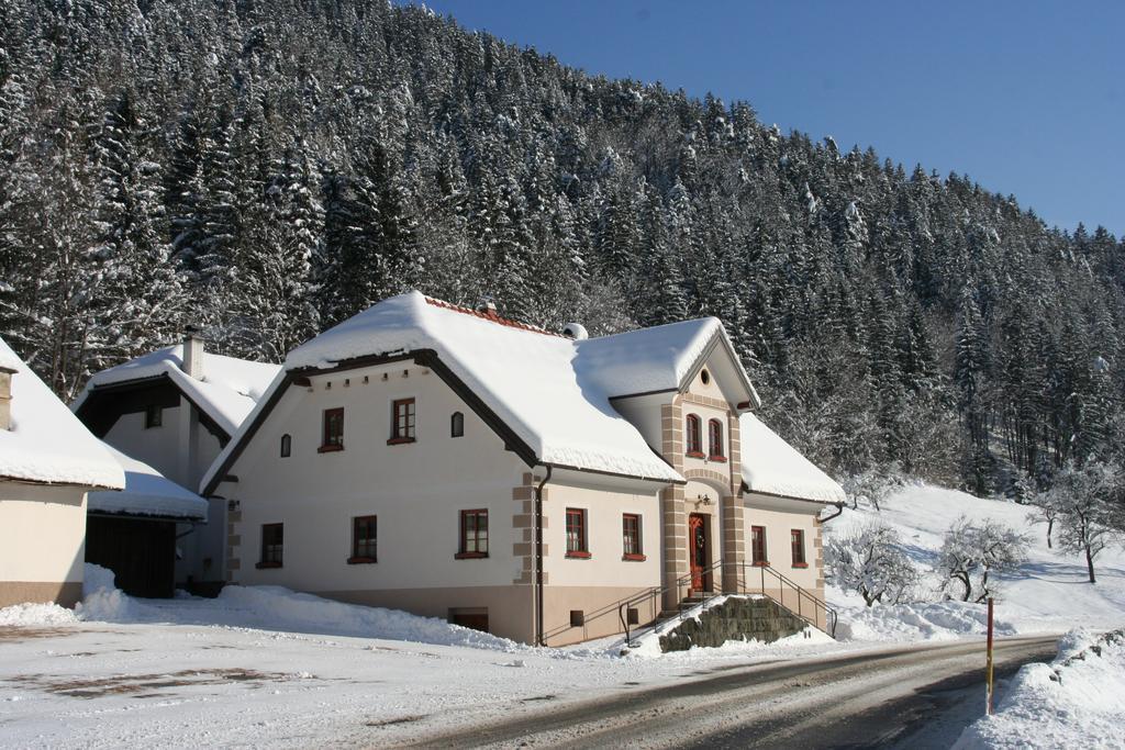 Farm Stay Bukovje Ljubno Esterno foto